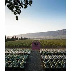 Acheter ⭐ Mas Amiel Carerades, 2012 - Côtes-du-Roussillon-Villages AOP - Rouge - 75 cl 😀 -Vins Rouges Soldes 3281540014116 3