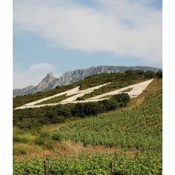 Acheter ⭐ Mas Amiel Carerades, 2012 - Côtes-du-Roussillon-Villages AOP - Rouge - 75 cl 😀 -Vins Rouges Soldes 3281540014116 6