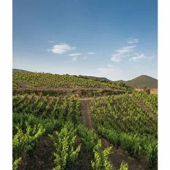 Acheter ⭐ Mas Amiel Carerades, 2012 - Côtes-du-Roussillon-Villages AOP - Rouge - 75 cl 😀 -Vins Rouges Soldes 3281540014116 7