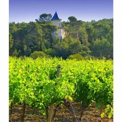 Bon marché 🧨 Mouline de Ciffre Altiniac Grande Cuvée, 2018 - Faugères AOP - Rouge - 75 cl 🧨 -Vins Rouges Soldes 3454781519652 3