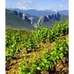 Bon marché 🧨 Mouline de Ciffre Altiniac Grande Cuvée, 2018 - Faugères AOP - Rouge - 75 cl 🧨 -Vins Rouges Soldes 3454781519652 5