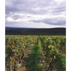 De gros 🥰 Baronne de Saint-Jean, 2021 - Mâcon-Azé AOP - Rouge - 75 cl 🌟 10 De gros 🥰 Baronne de Saint-Jean, 2021 - Mâcon-Azé AOP - Rouge - 75 cl 🌟 -Vins Rouges Soldes 3700271980199 2