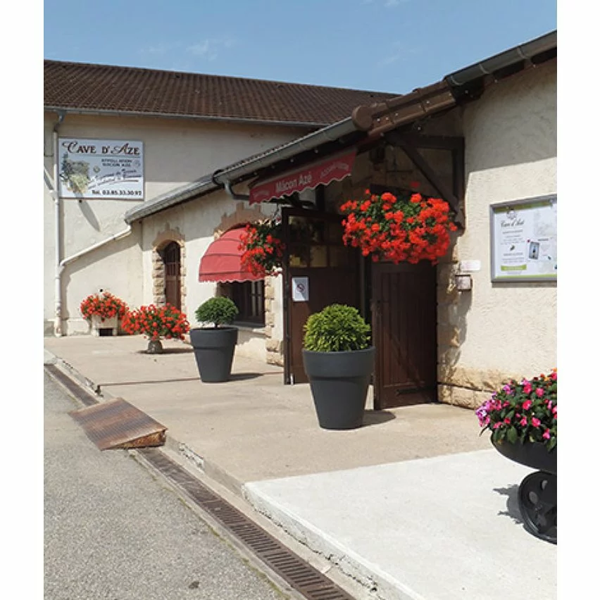 De gros 🥰 Baronne de Saint-Jean, 2021 - Mâcon-Azé AOP - Rouge - 75 cl 🌟 8 De gros 🥰 Baronne de Saint-Jean, 2021 - Mâcon-Azé AOP - Rouge - 75 cl 🌟 – Image 6