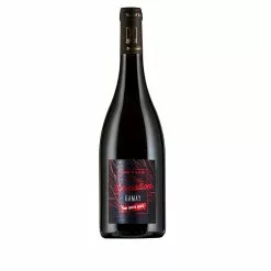 Acheter 😉 Domaine de la Renne Variation, 2019 - Touraine AOP - Rouge - 75 cl 🧨